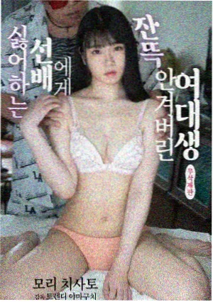 潮汐观测站封面